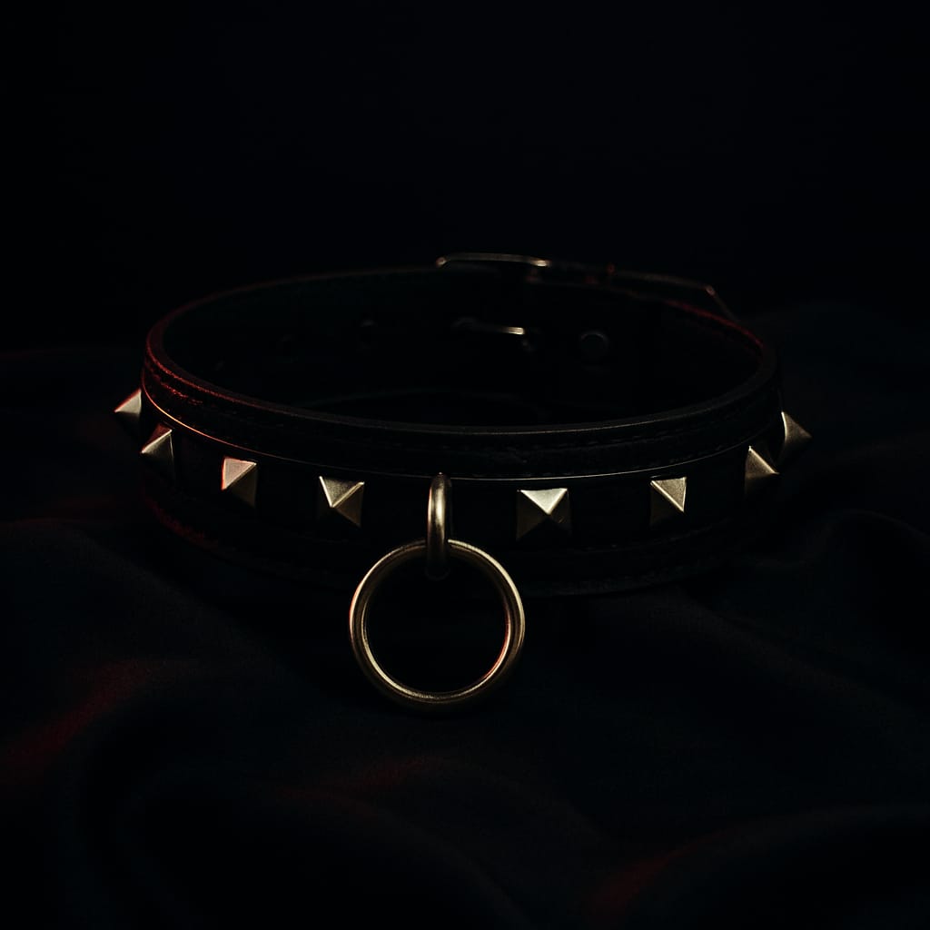 Studded Leather Collar