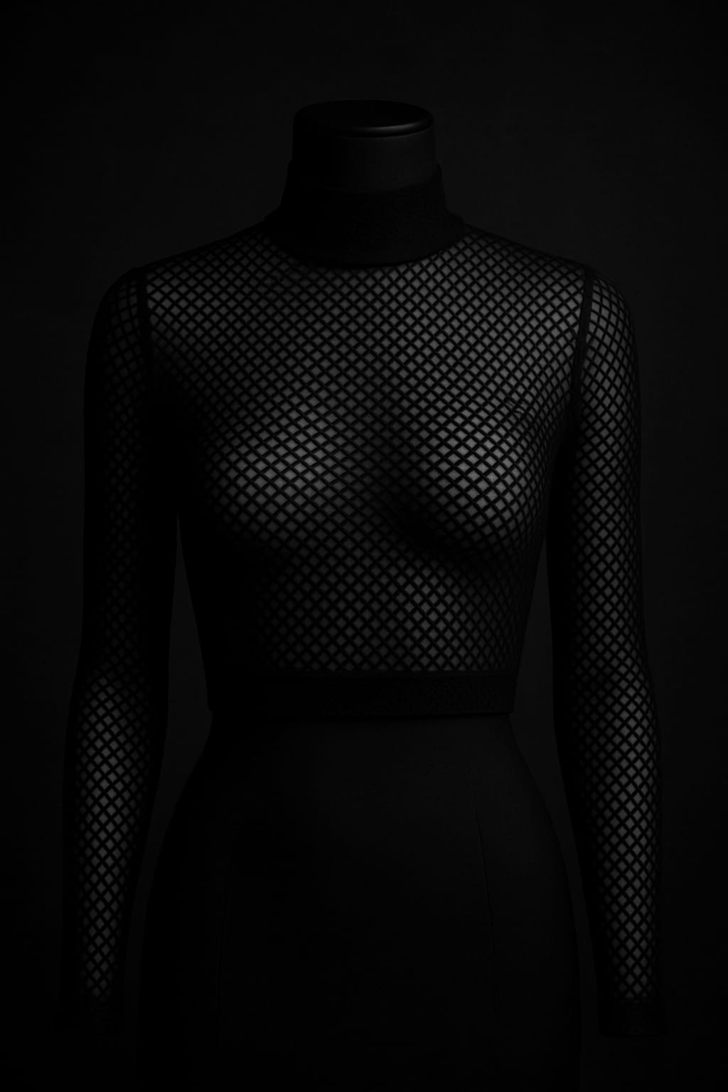 Fishnet Half Top